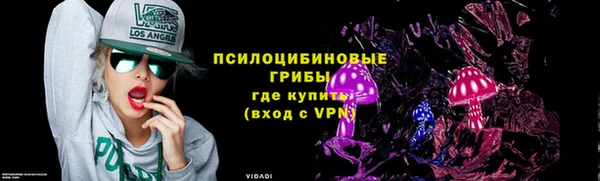 молекула духа Заводоуковск