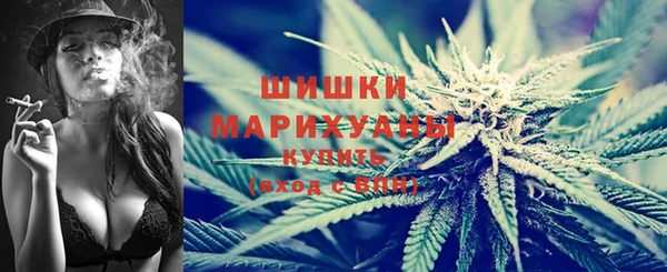 молекула духа Заводоуковск