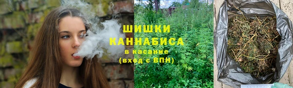 молекула духа Заводоуковск