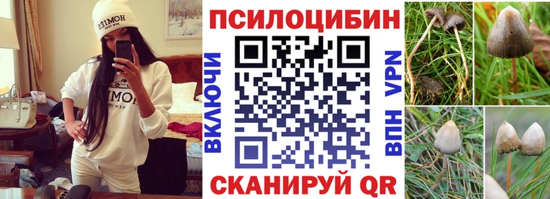 Псилоцибиновые грибы мухоморы  Купить закладки  Новоаннинский 